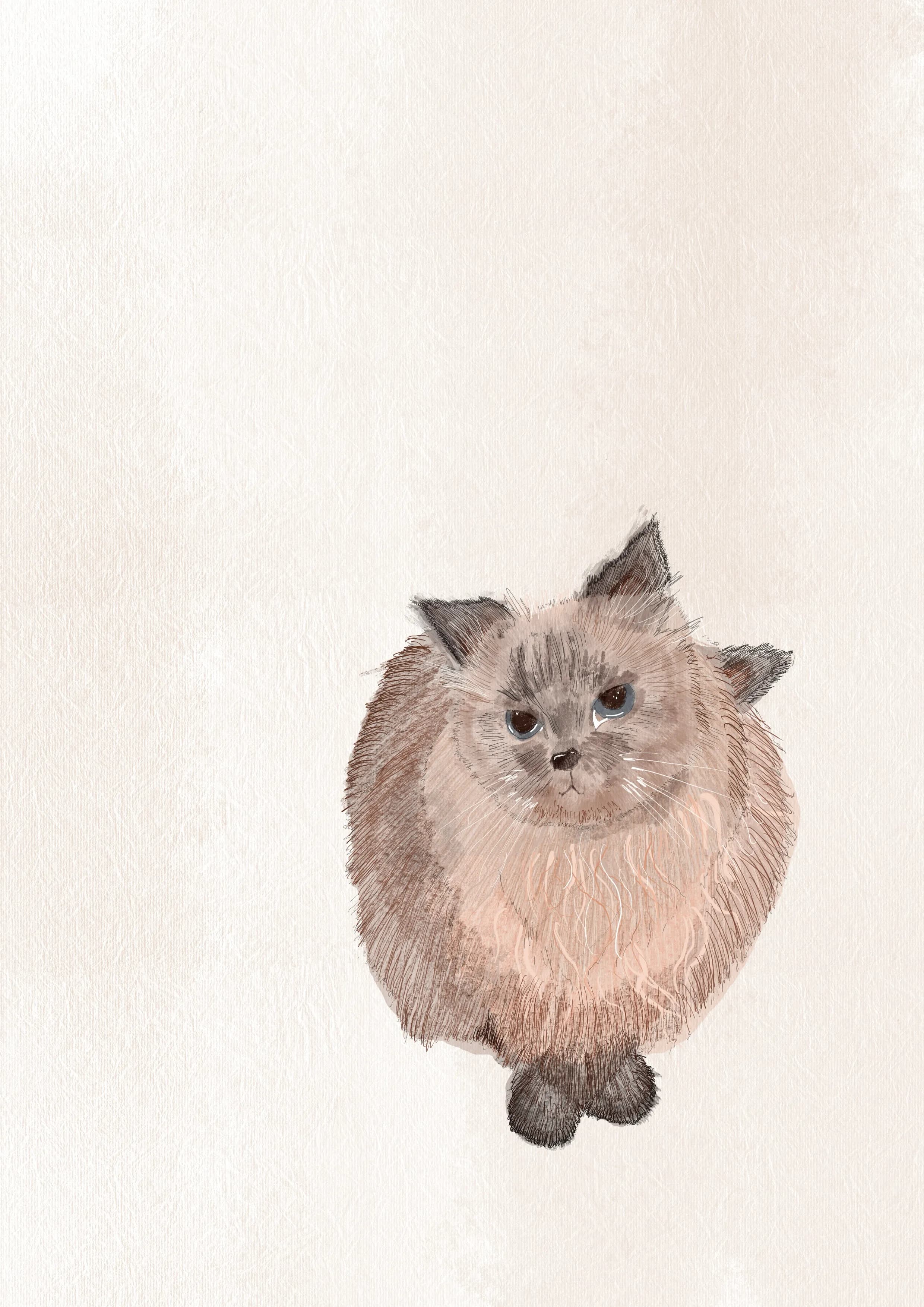 Retrato de tu mascota